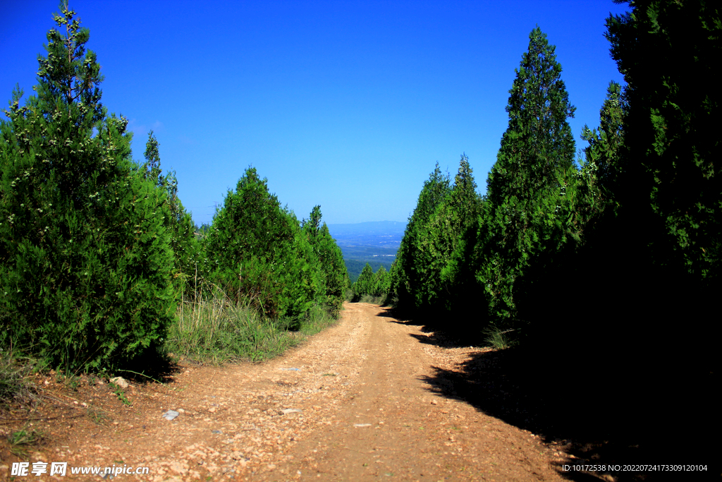 山顶上的小路