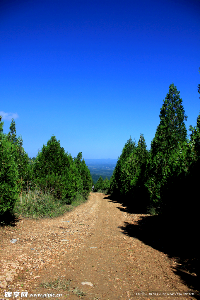 山顶上的小路