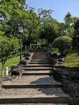 公园风景