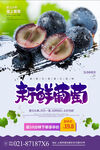 葡萄海报