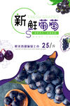 葡萄海报