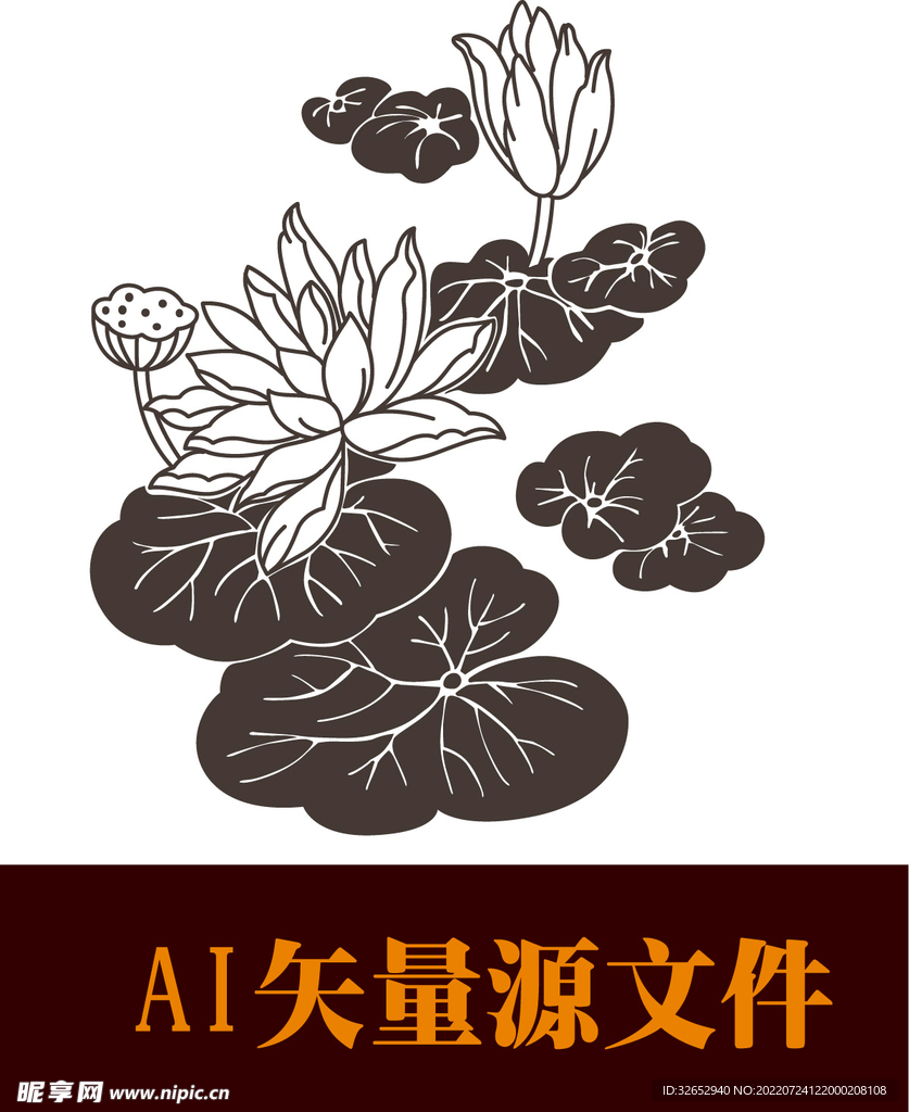 荷花纹理