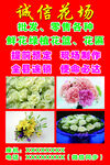 花坊海报