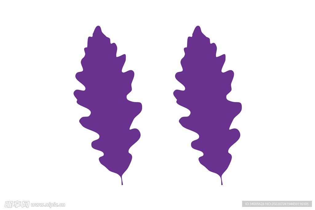 紫色叶子图案