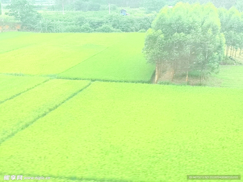 美丽的田野