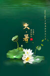 大暑海报