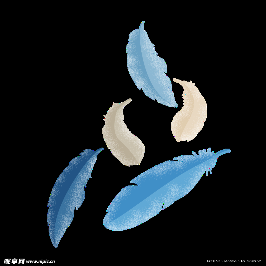 羽毛