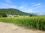田园风光