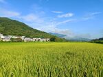 田园风光