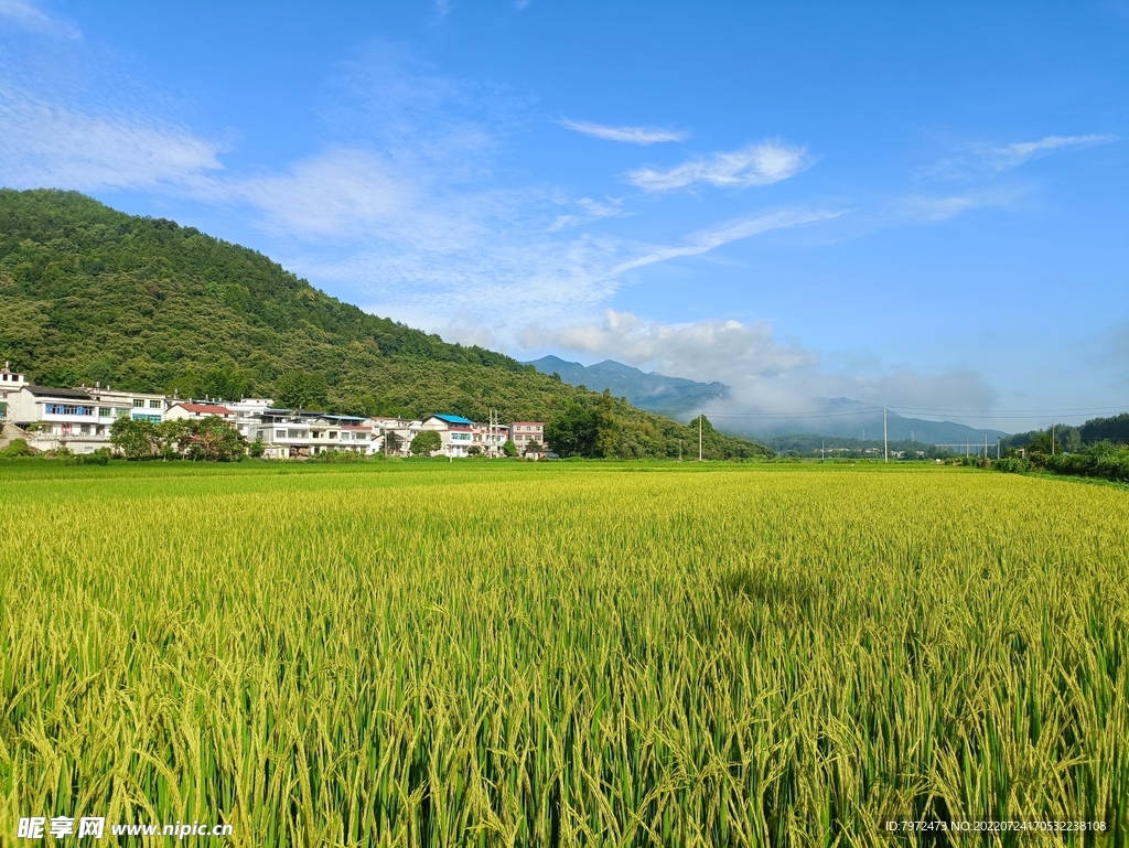 田园风光