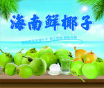海南鲜椰子