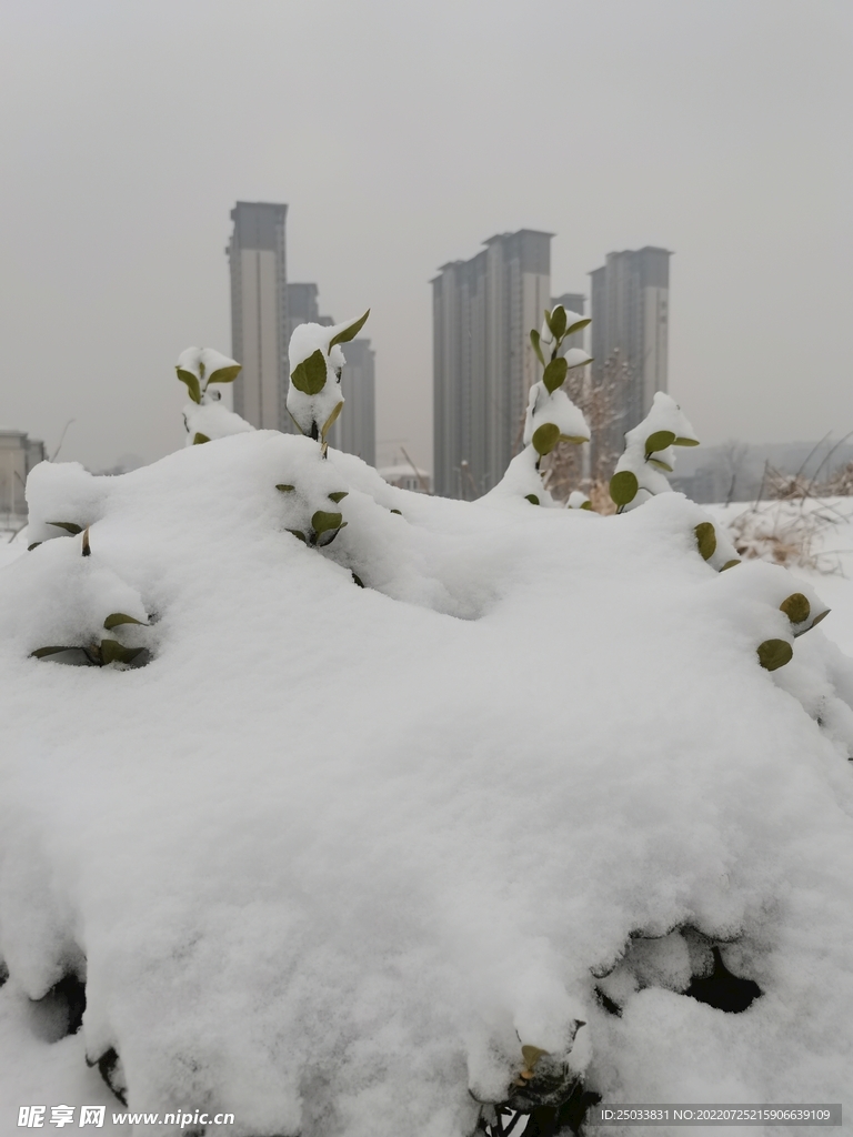 雪景 