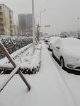 雪景 