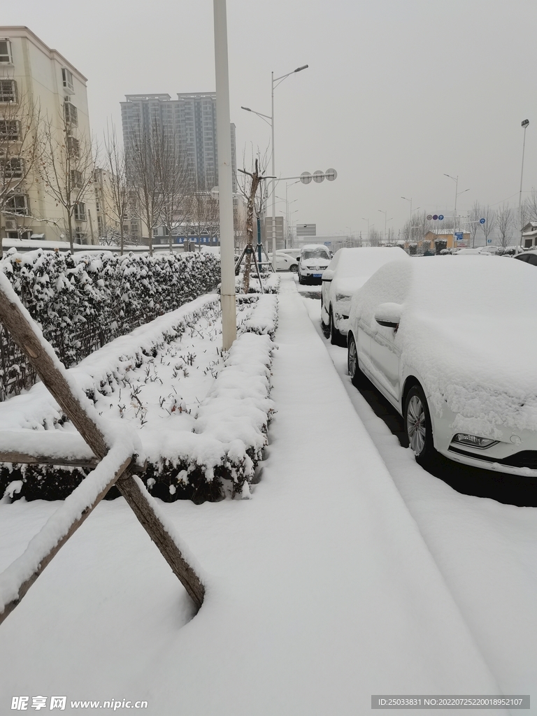雪景 