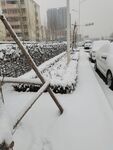雪景