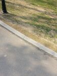 绿草沥青路
