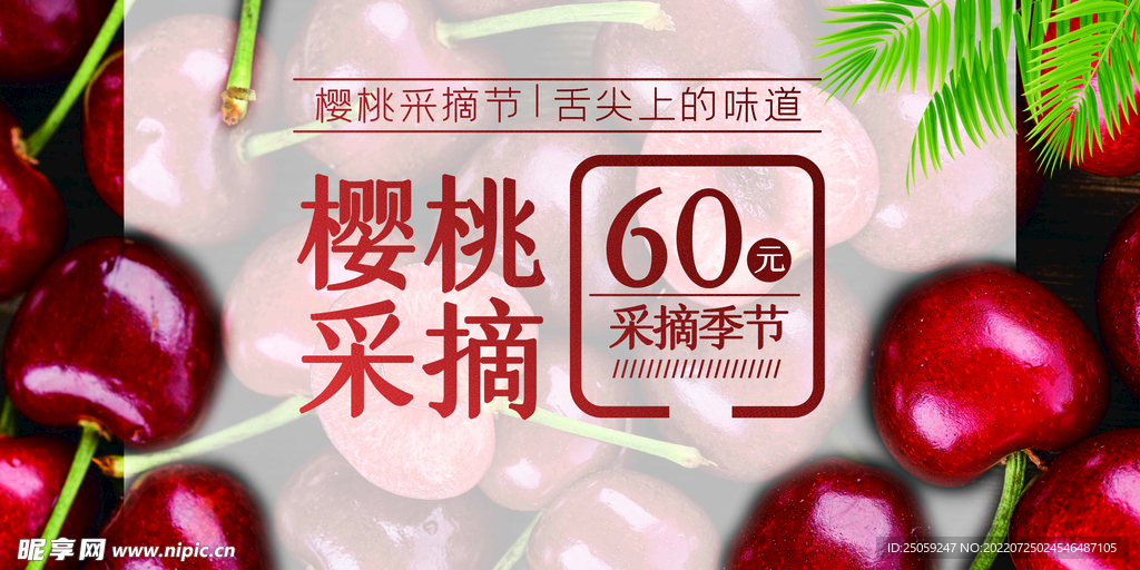 樱桃