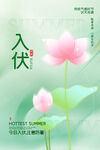 入伏海报