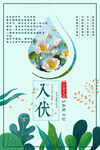 入伏海报