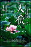 入伏海报