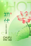 入伏海报