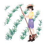 芒种插画           