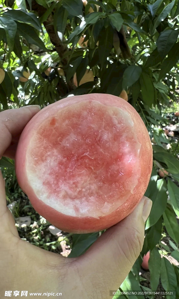 水蜜桃
