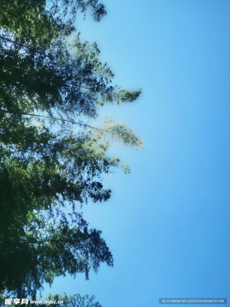 天空