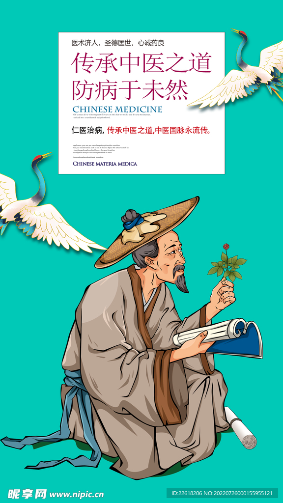 国潮风中医草药插画海报