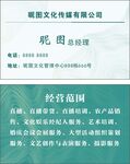 简约大气风家居商务科技名片