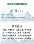 简约大气风家居商务科技古风名片
