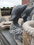 石雕海豚