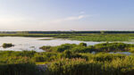 东平湖湿地