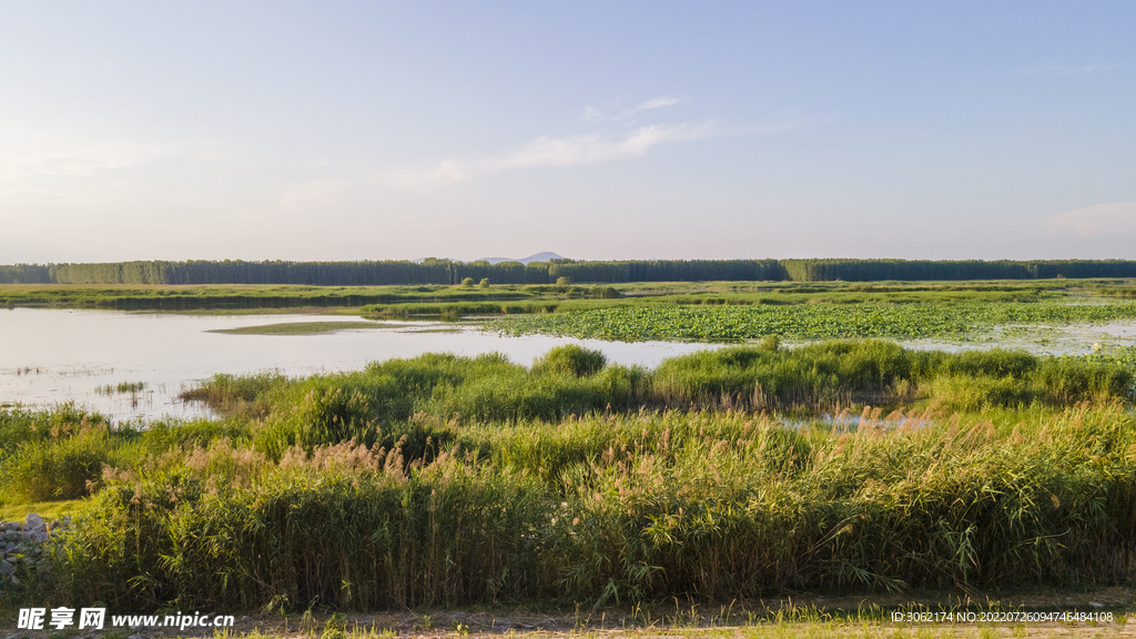 东平湖湿地