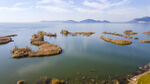 东平湖