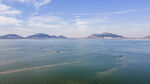 东平湖