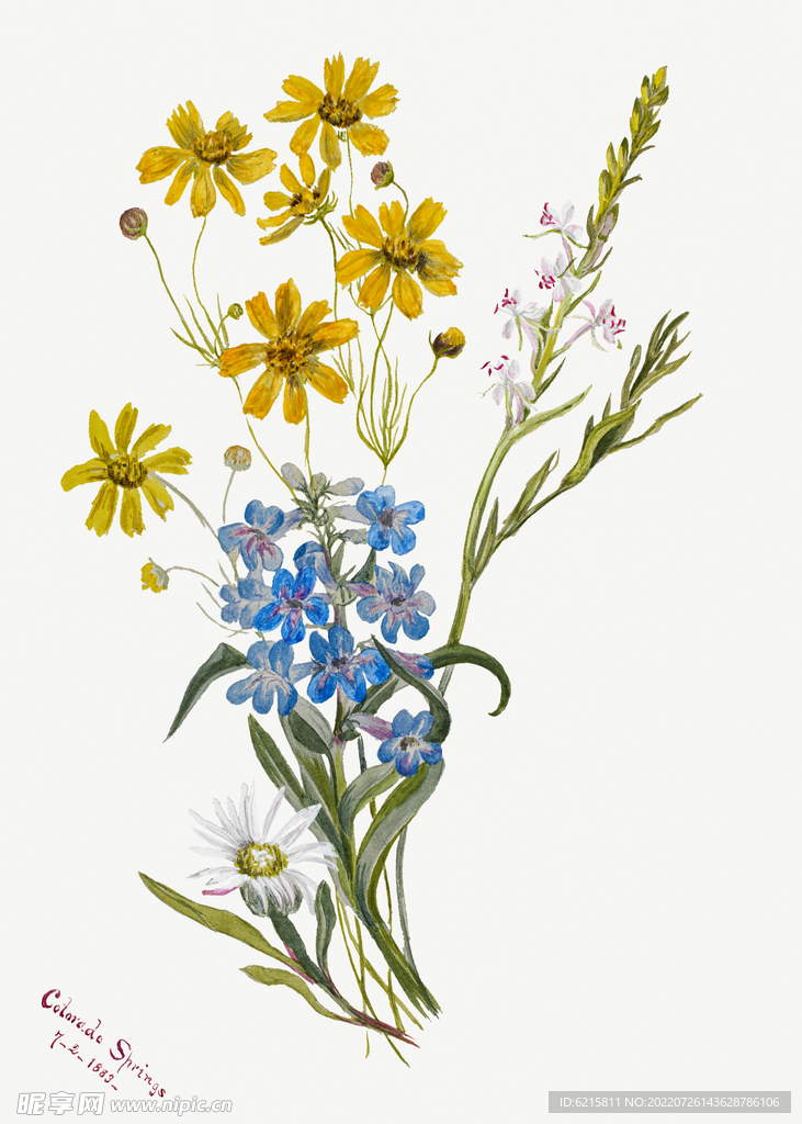 花
