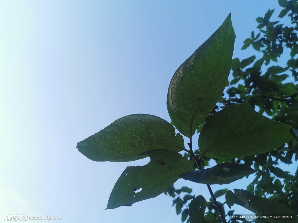 天空