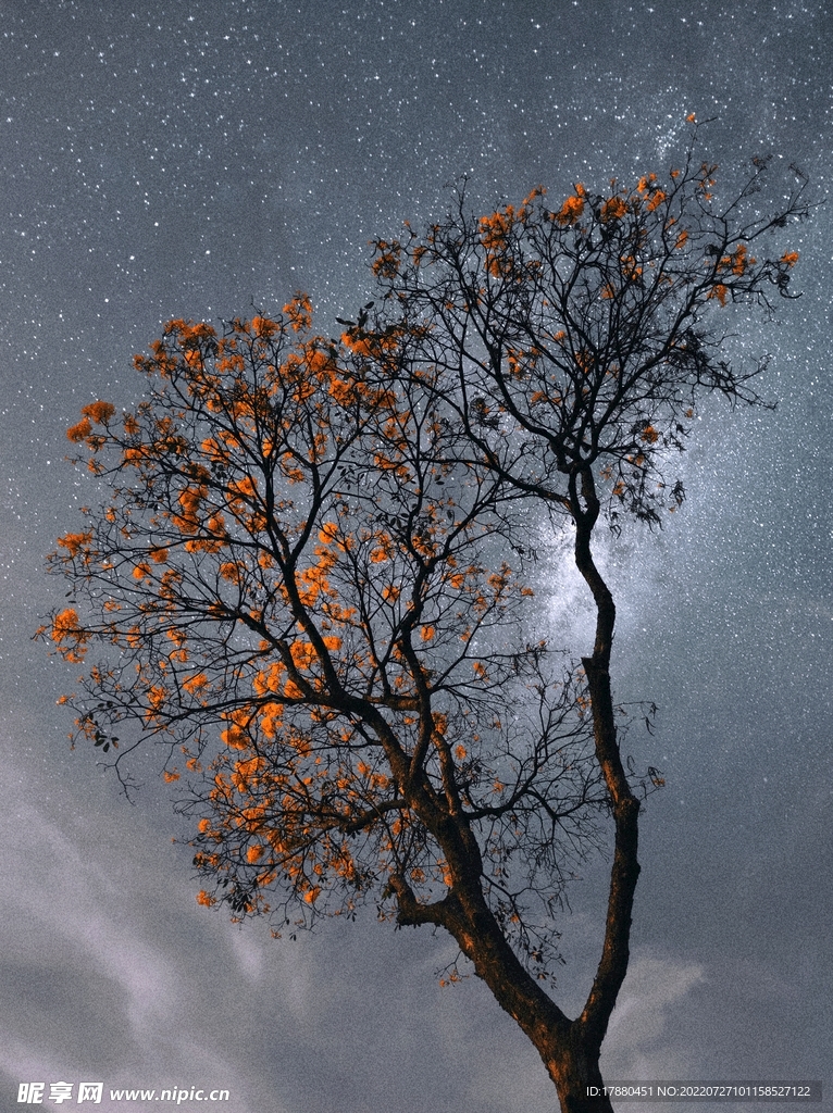 星空