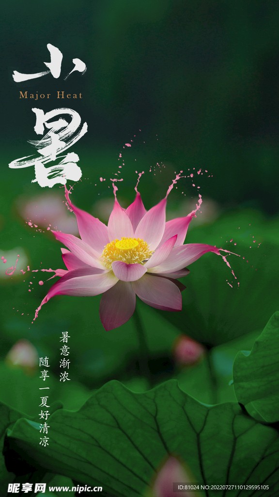 小暑