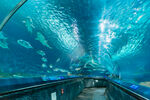 上海海洋水族馆 
