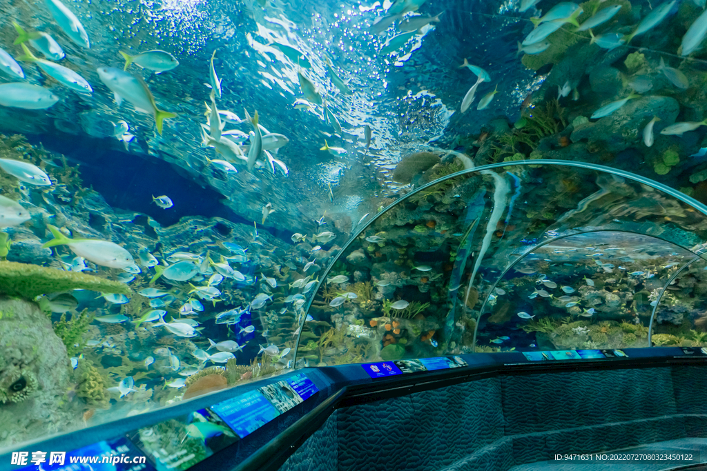 上海海洋水族馆 