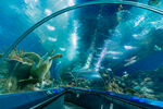 上海海洋水族馆