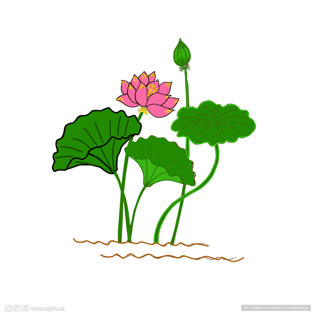 手绘荷花