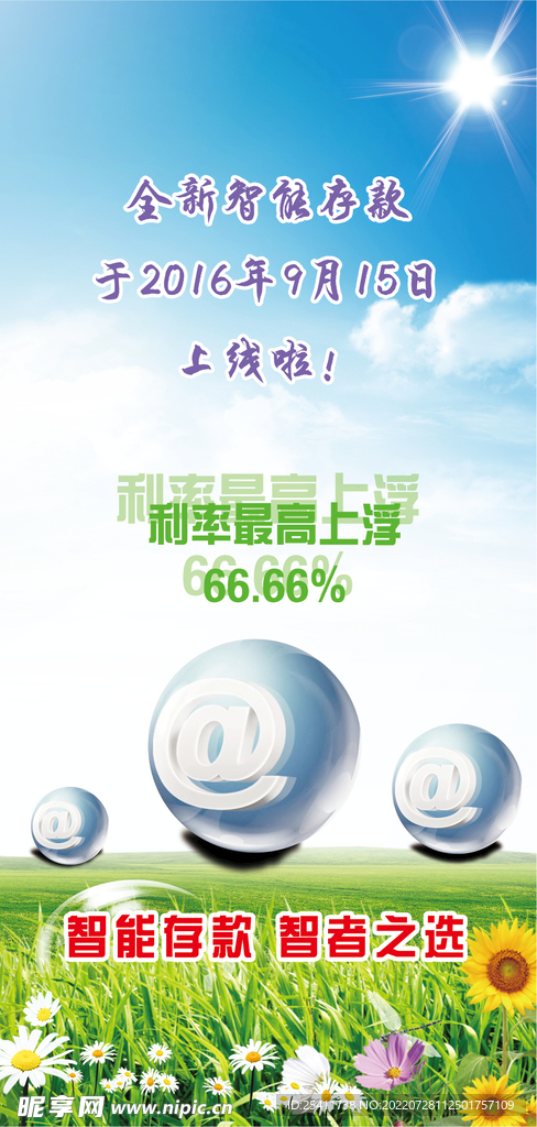 蓝天阳光花草