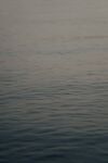 海水