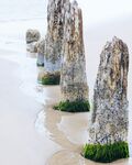 风景