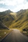 山