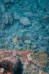 海