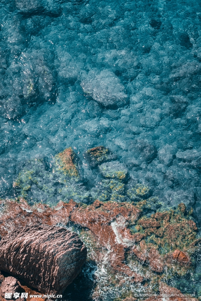 海